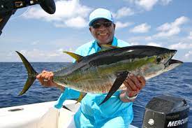 You are currently viewing Sport Fishing Situation and Alarm Status